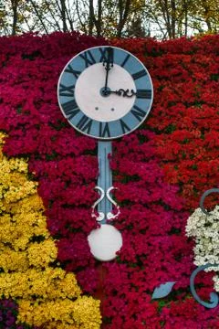 Clock and Flowers Stock-Fotos