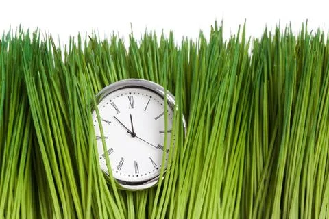 Clock and green grass Stock Photos