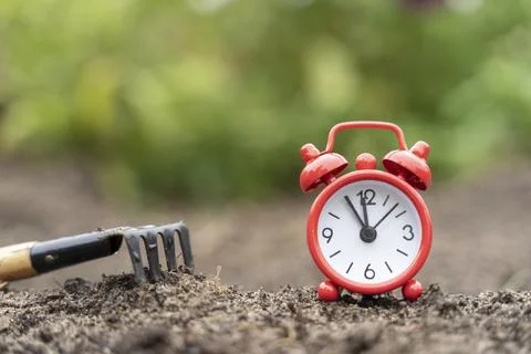 Clock and a rake on the ground, the concept of harvest Fotos de archivo