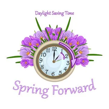 Clock and spring flowers crocus around isolated on white background. Stock Illustration