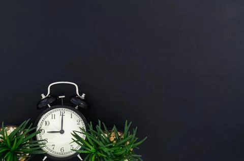 Clock and tree Sitting on the desk top view Stock Photos