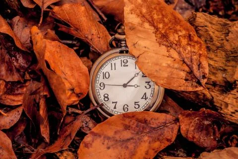 Clock in the autumn Stock Photos