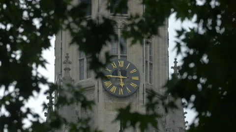 Clock of Belfry of Bruges seen through leaves in Bruges 스톡 동영상 59643915