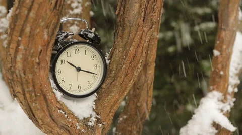 Clock in the branches of snow-covered trees Stock Footage 60642140