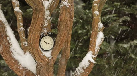 Clock in the branches of snow-covered trees Stock Footage 60642186