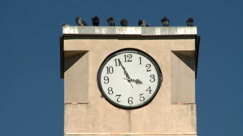 The Clock of the Building Stock Footage 327570654