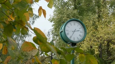 Clock in a city park on a background of trees 스톡 동영상 118321161