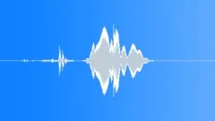 Clock cuckoo koosSound Effect