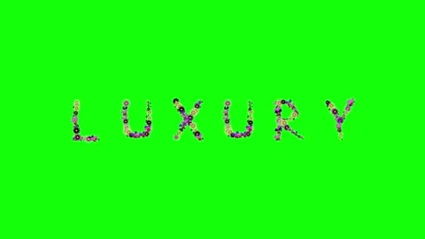 Clock Dancing Isolated Green Screen Stock Video Stock Footage 337996527
