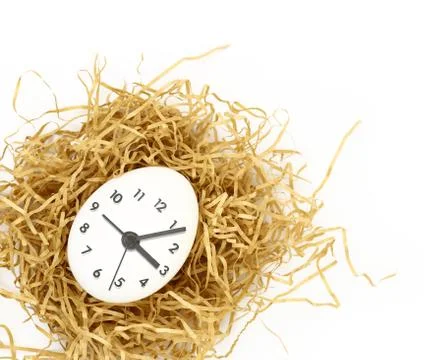 Clock dial on white egg inside nest isolated Stock Photos