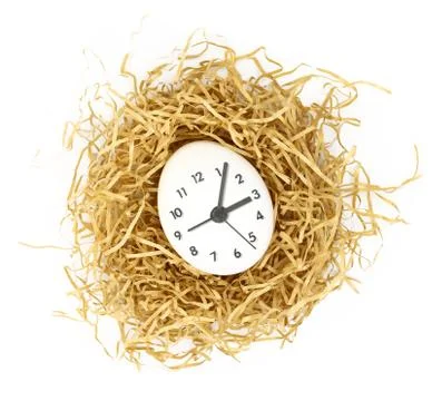 Clock dial on white egg inside nest isolated Stock Photos