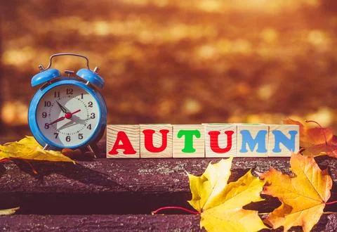 Clock with fallen leaves are on the bench 스톡 사진