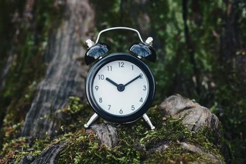 Clock in the forest, time-break, spending time in nature and flow of time con Stock-Fotos