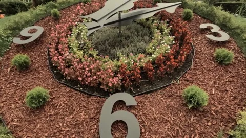 A clock on the ground in a city park Stock Footage 293018383