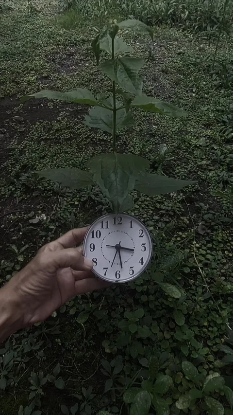 Clock in Hand, Dark Cinematic Vertical Stock Footage 311802298
