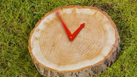 Clock hands on a tree stump. CG animatio... | Stock Video | Pond5