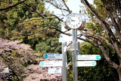 Clock in japan park Stock Photos