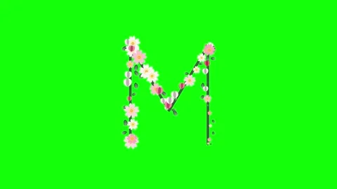 Clock Moving on Green Screen Chroma Key Background Stock Footage 337996338