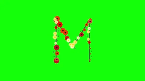 Clock Moving on Green Screen Chroma Key Background Stock Footage 337996340