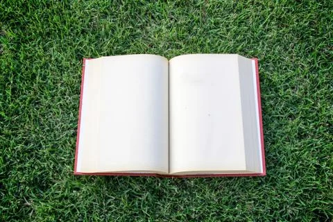 Clock up open blank book on the grass field Stock Photos