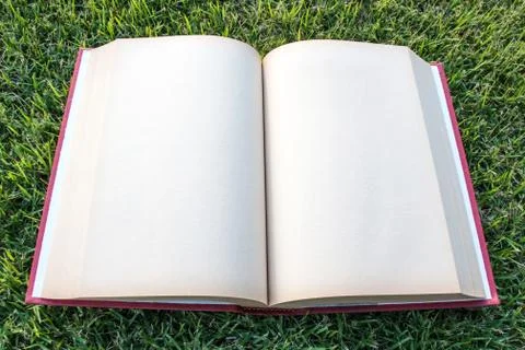 Clock up open blank book on the grass field Stock Photos