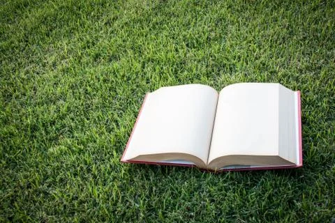 Clock up open blank book on the grass field 写真素材