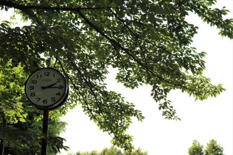 Clock in the shade Stock Photos