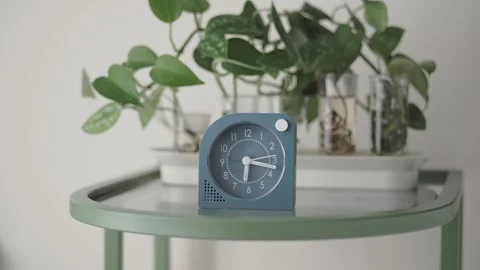 Clock on table among plants in a home setting Stock Footage 341321797
