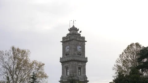 Clock tower among the trees Stockbeeldmateriaal 83063658