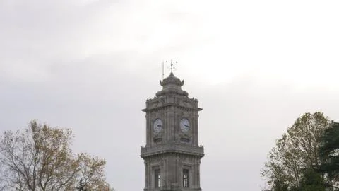 Clock tower among the trees Stock Photos