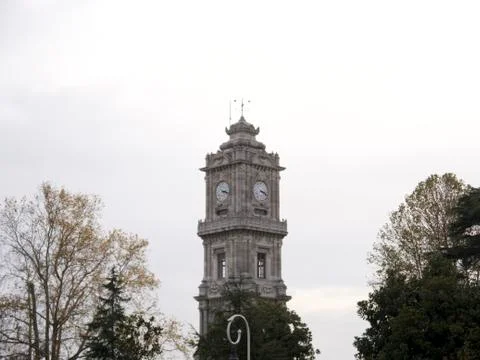 Clock tower among the trees Stock Photos