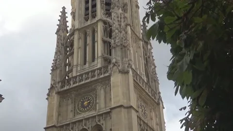 Clock on a tower and leaves Stock Footage 99255856