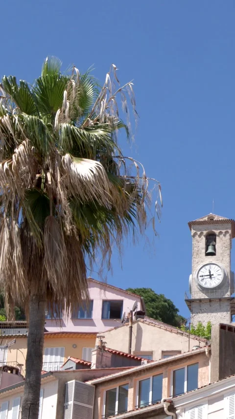 Clock Tower and Palm Tree in Old Town Cannes France Stock Footage 335359524