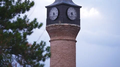 Clock Tower and Tree Video stock 265965026