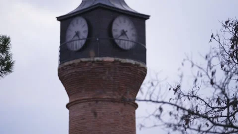 Clock Tower and the Tree Video stock 265965128