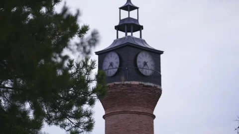 Clock Tower and Tree Soft Focus Video stock 265964776