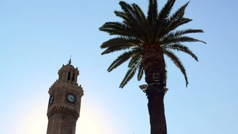 Clock Tower Behind a Palm Tree Stock Footage 104090755