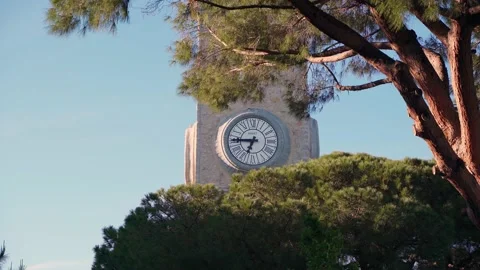 Clock tower behind the trees, in the evening at sunset in the rays of the sun Stock Footage 191649337