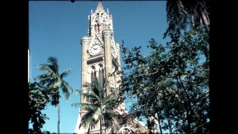 Clock tower between trees Video stock 274091465