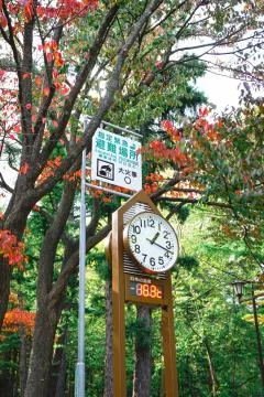 Clock tower to forecasts the weather  at Maruyama Park in autumn season Stock Photos