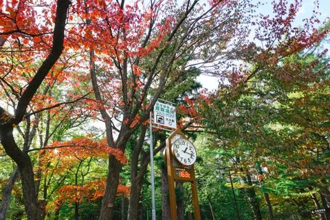 Clock tower to forecasts the weather  at Maruyama Park in autumn season Stock Photos