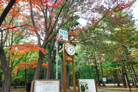 Clock tower to forecasts the weather  at Maruyama Park in autumn season Stock Photos