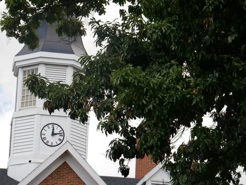 Clock Tower Hidden by Trees 4K Stock Photos