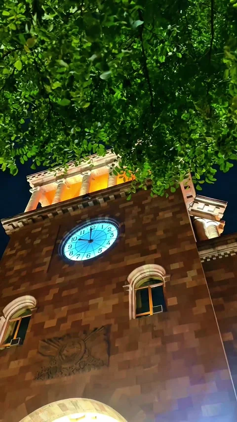 Clock tower at night framed by leaves Stock Footage 318314612