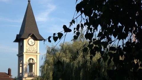 Clock on the tower in park Stock Footage 118366411