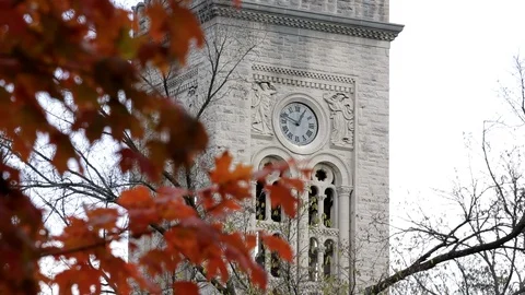 Clock tower with Roman numerals and fall foliage in foreground, day. Vídeo Stock 106880860