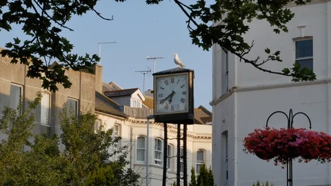 Clock Tower with Seagull on top Video stock 96384454