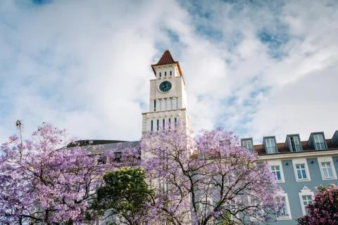 Clock Tower in Square Stock Photos