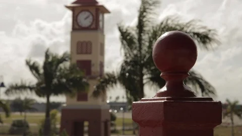Clock Tower Surrounded by Palm Trees Stock Footage 102064837
