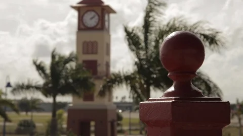 Clock Tower Surrounded by Palm Trees Stock Footage 102064933